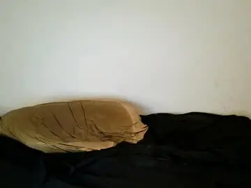Chaturbate Free Porn Cam of theetwohander