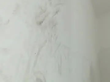 Chaturbate Sex Cam of brant_garcia