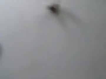 Chaturbate Watch Live Sex Cams of erik15516