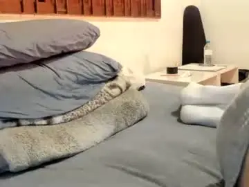 Chaturbate Live Sex Cam of moderdelier