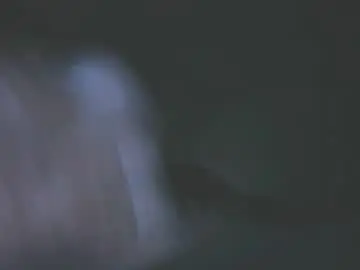 Chaturbate Sex Chat of hofnung