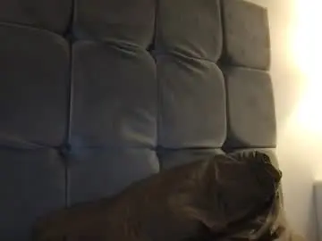 Chaturbate Best Webcam of horsechris