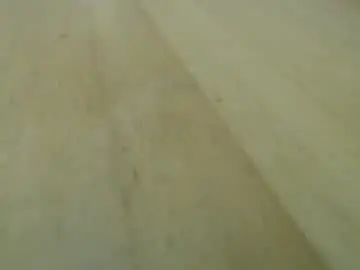 Chaturbate Adult Webcam of bobbuild