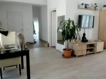 Chaturbate Live Sex Cam of woolfiie