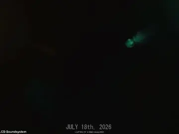Chaturbate Best Webcam of intellitease