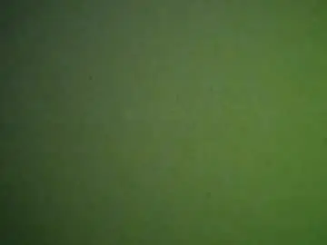 Chaturbate Live Sex of stiffler69z