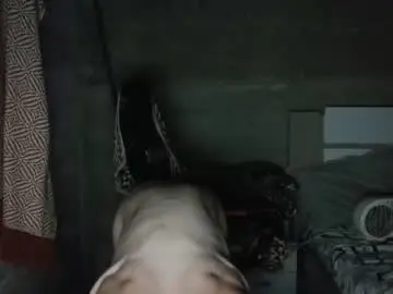 Chaturbate Live Sex of hebarsensei
