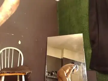 Chaturbate Adult Webcam of bigpussypump