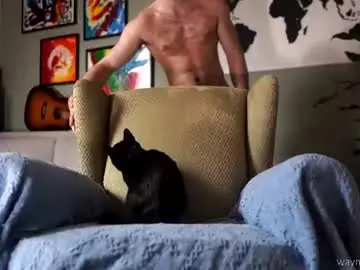 Chaturbate Adult Webcam of waynenorth