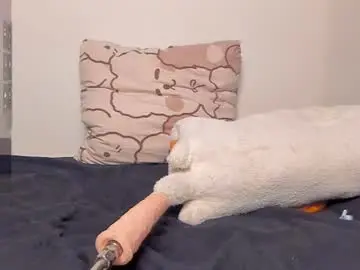 Chaturbate Sex Cam of neiljungg