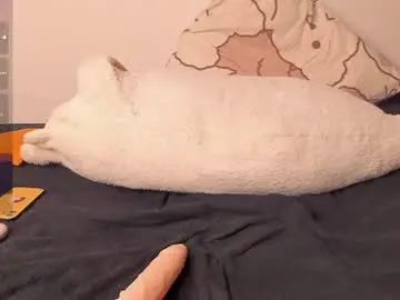 Chaturbate Live Sex of neiljungg