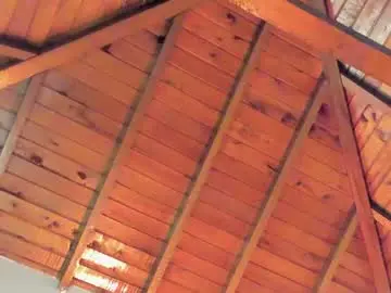 Chaturbate Nude Webcam of tony_petrov
