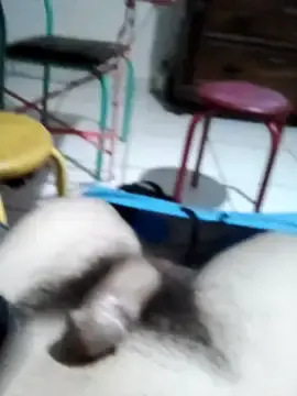 Stripchat Watch Live Sex Cams of userbrasil12345
