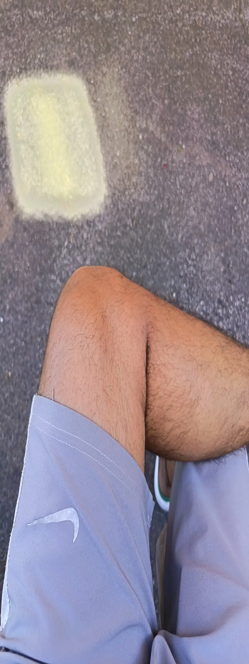 Alessandrino_09