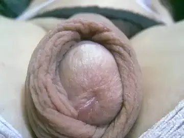 Stripchat Sex Cam of annitsx