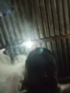 Stripchat Free Porn Cam of BlackBigdogg