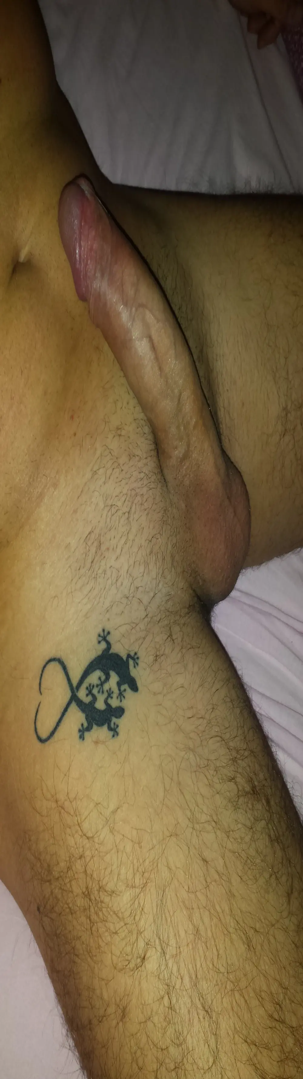 nicecock_xxx