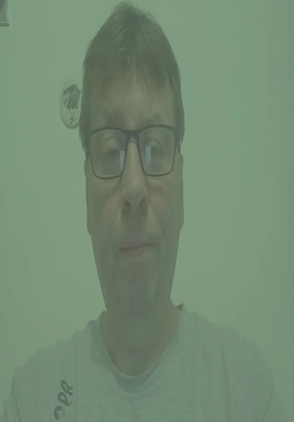 Lisak951