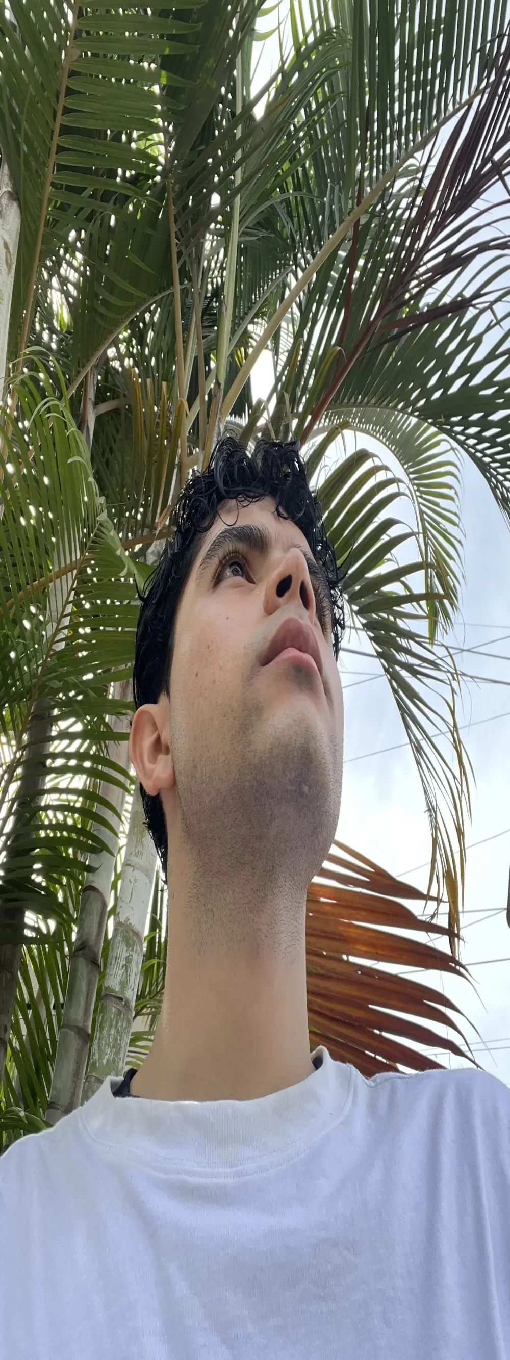 Axel-Mejia