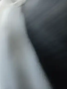Stripchat Sex Cam of LiveCam88
