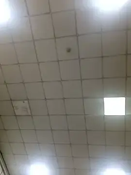 Stripchat Live Sex of Onesome_Lick